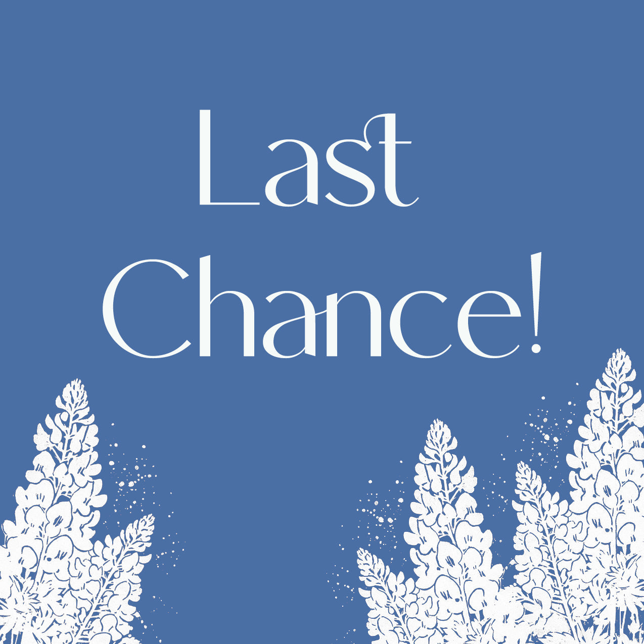 Last Chance