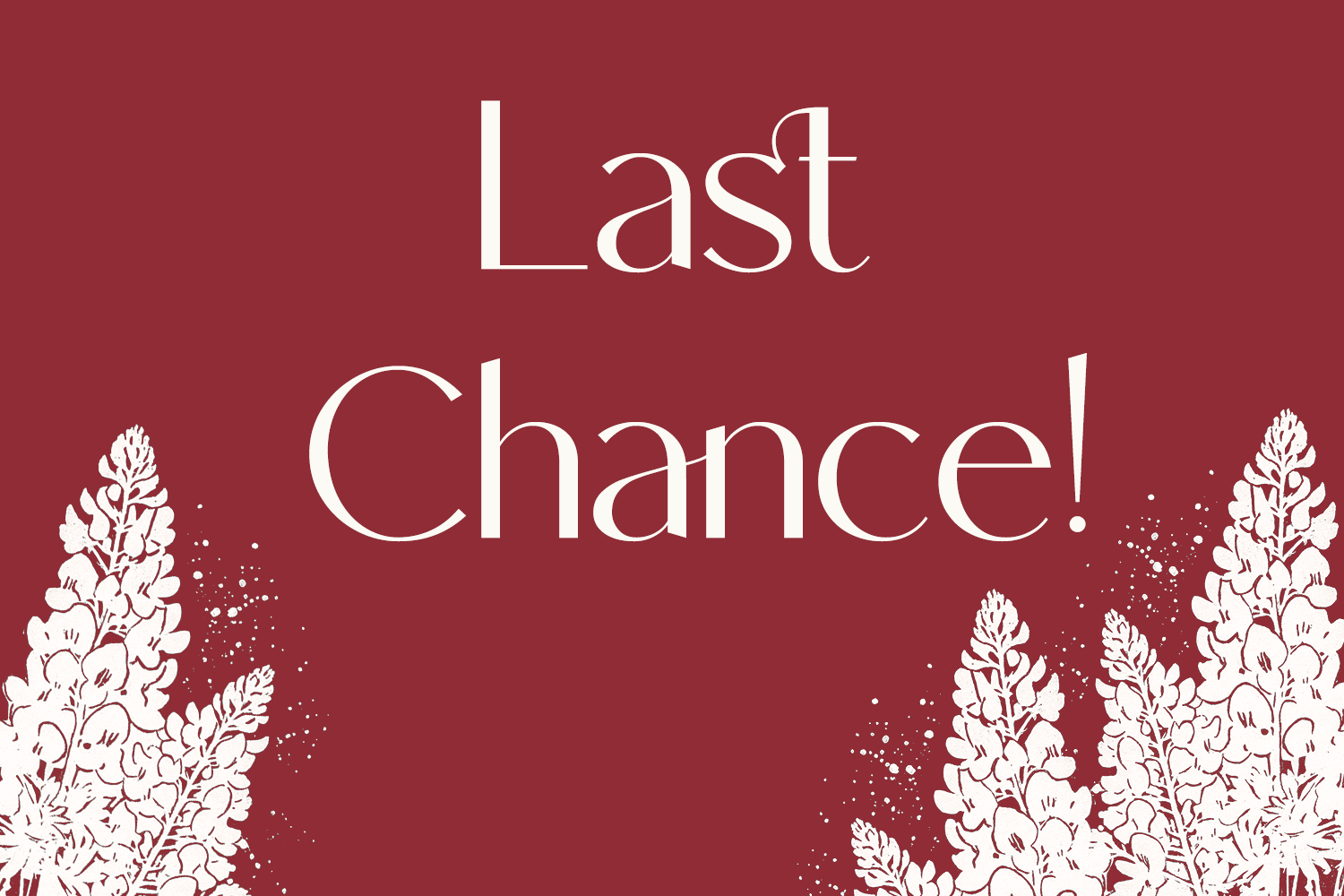 Last Chance!