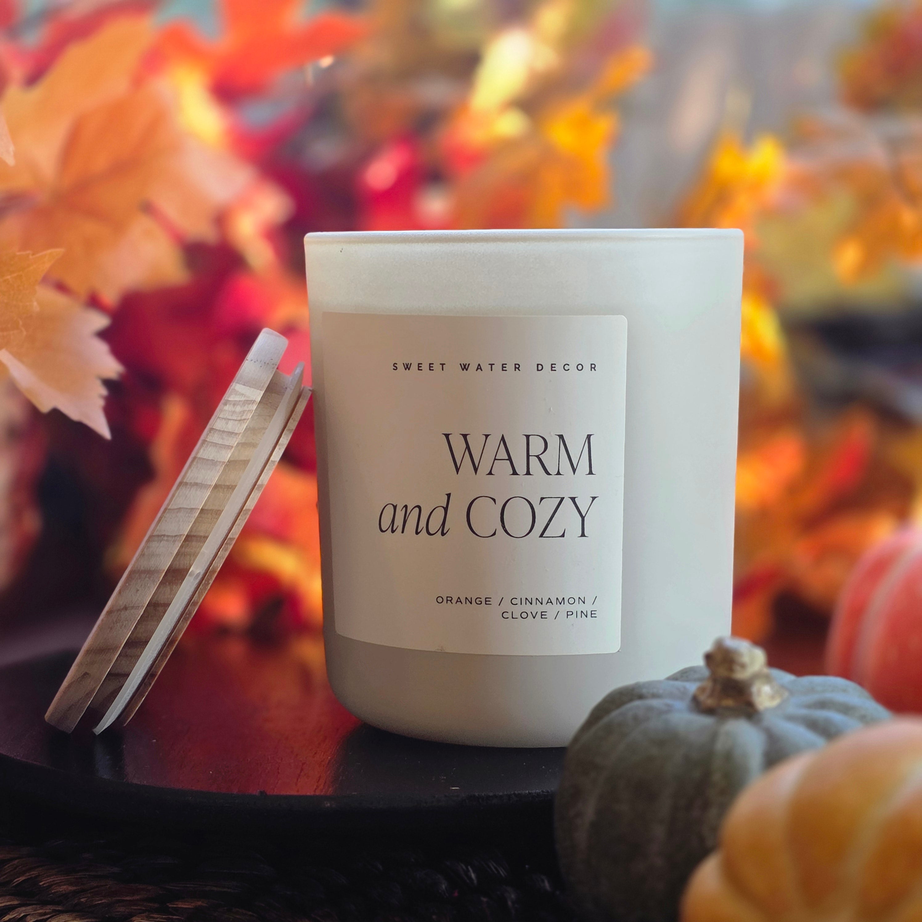 Warm and Cozy Signature Soy Wax 15 oz Candle in Frosted Glass
